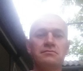 Володимир Нємцов, 49 лет, Чернівці