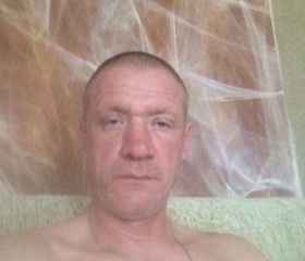 михаил, 47 лет, Владимир