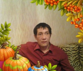 владимир, 42 года, Абакан