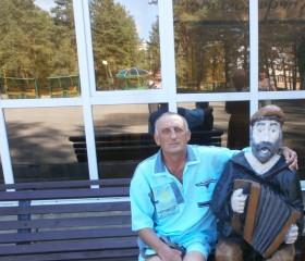 Володя Серый, 67 лет, Бабруйск