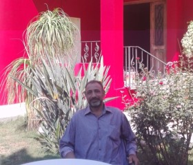 Mohamed, 42, Toukh