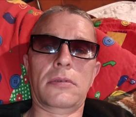 Денис Боровиков, 44 года, Первоуральск