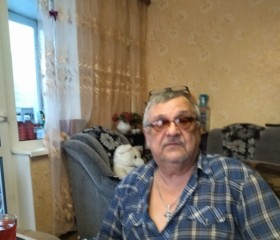 Игор, 66 лет, Омск