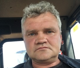 Андрей, 43 года, Медногорск