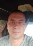 Анатолий, 43 года, Саров