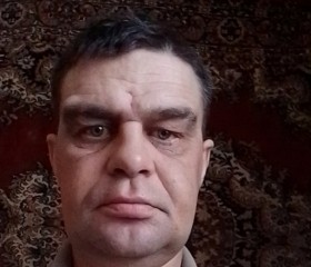 Евгений, 45 лет, Топки
