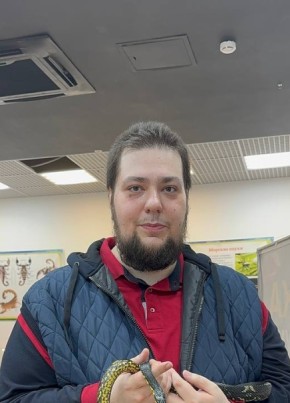 Denis, 30, Russia, Moscow