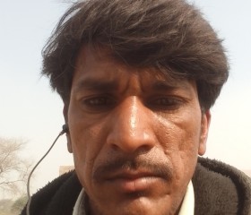 Harshad malanya, 33 года, Ahmedabad