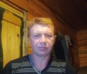 Николай, 46 лет, Сыктывкар