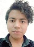 Luis , 30 лет, Tarija