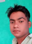 Dileep Kumar, 25 лет, Lucknow
