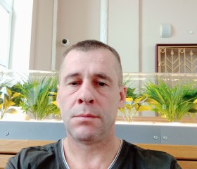 Дмитрий, 46 лет, Петрозаводск
