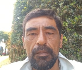 Dinilson, 44 года, Curitiba