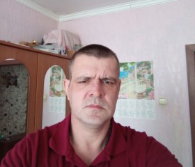 Роман Резник, 45 лет, Казань
