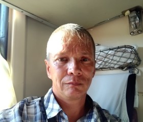 Андрей Соловьёв, 45 лет, Калуга