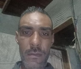 شريف, 41, Cairo