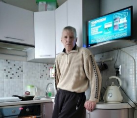 Дмитрий Громилов, 55 лет, Нижняя Тура