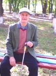 виктор демидов, 75 лет, Новочеркасск