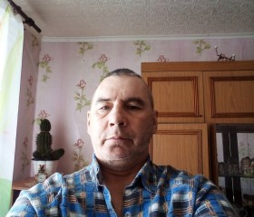 Николай, 52 года, Адамовка