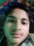 Shahnawz khan, 19 лет, Kanpur