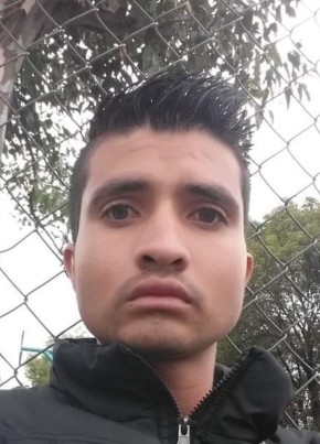 Adán, 32, Mexico, San Juan del Rio