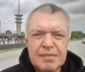 Виктор Донец, 63 года, Växjö