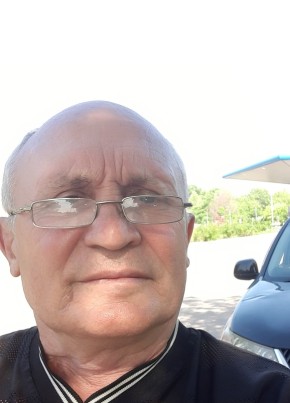 Владимир, 61, Україна, Мелітополь