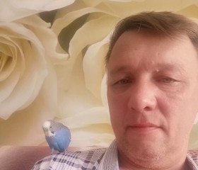 Алексей, 50 лет, Сковородино