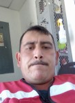 Luis Albert ca, 43 года, Hermosillo