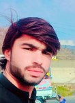 Alim khan, 22 года, پشاور