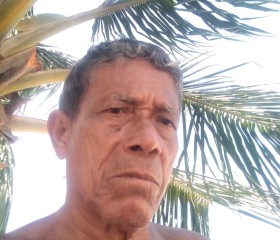 Neném, 66 лет, Maceió