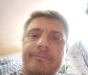Дима, 43 года, Бокситогорск