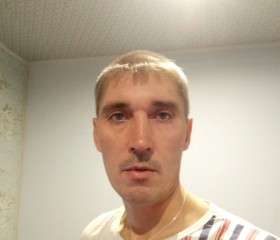 Иван Поляков, 41 год, Нижний Новгород