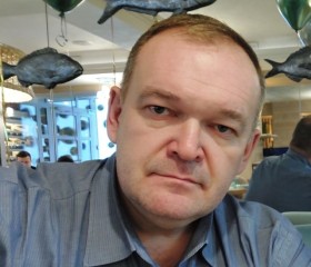 Виктор, 44 года, Воронеж