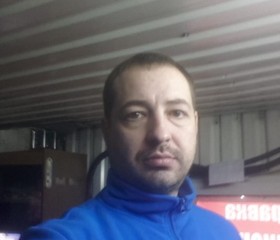 Михаил, 42 года, Солнечногорск
