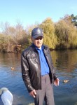 Евгений, 67 лет, Краснодар
