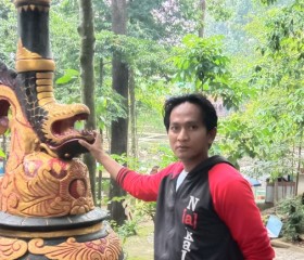 Toni jangrus, 36 лет, Kota Bandung