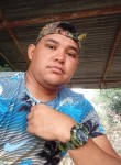 Raul sanchez, 31 год, San Fernando de Apure