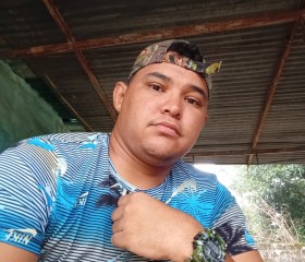 Raul sanchez, 31 год, San Fernando de Apure