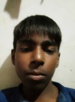 shanisoni, 19 лет, Lucknow