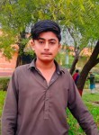 Zulfkar, 19 лет, حیدرآباد، سندھ