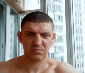 Николай, 42 года, Курск