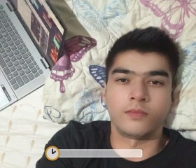 Malik, 29 лет, Toshkent