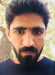 Toqeer Taqi, 31 год, لاہور