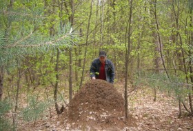 Владимир, 57 - Мещерские леса и деревня