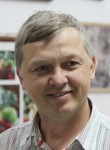Анатолий, 52 года, Chişinău