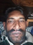 राकेश, 39 лет, Indore