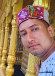 राजपूत, 34 года, Shimla