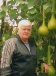 Владимир, 77 лет, Хмельницький