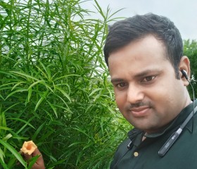 Abhishek, 34 года, Kanpur